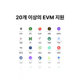 올인원 카드 지갑 + 백업 카드 패키지 (EVM 자산 전용)